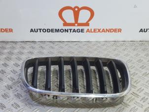 Gebruikte Grille BMW X5 (E70) 30d xDrive 3.0 24V Prijs op aanvraag aangeboden door Alexander Autodemontage