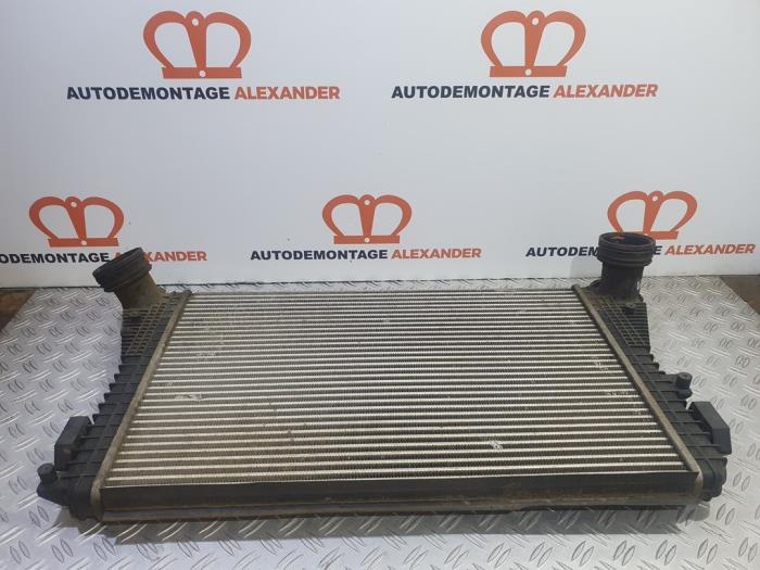 Gebruikte Intercooler Skoda Octavia (1Z3) 1.9 TDI Prijs € 29,99 Margeregeling aangeboden door Alexander Autodemontage