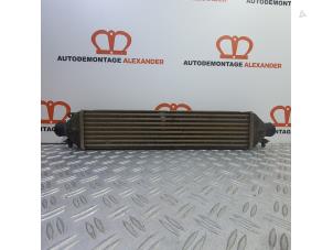 Gebruikte Intercooler Fiat Bravo (198A) 1.6 JTD Multijet 105 Prijs € 29,99 Margeregeling aangeboden door Alexander Autodemontage