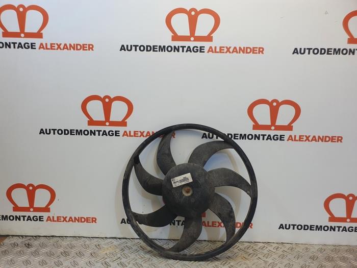 Koelvin van een Peugeot Boxer (U9) 2.2 HDi 100 Euro 4 2007