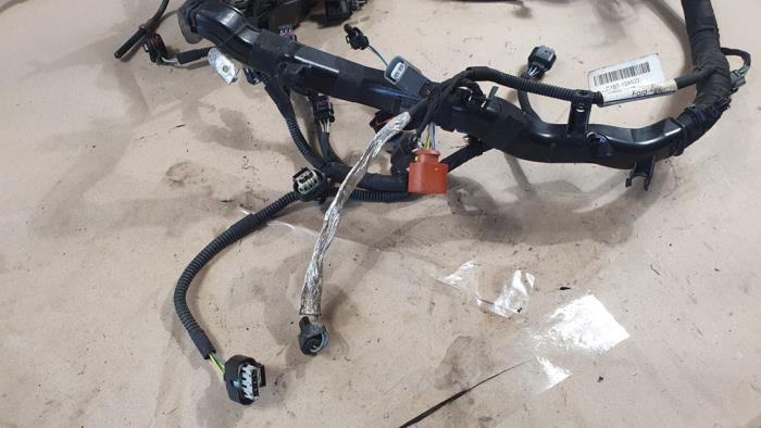 Kabelboom motorruimte van een Ford Fiesta 6 (JA8) 1.0 EcoBoost 12V 100 Van 2014