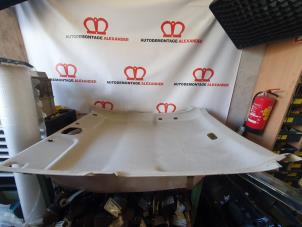 Gebruikte Hemelbekleding Peugeot 207/207+ (WA/WC/WM) 1.4 16V Prijs op aanvraag aangeboden door Alexander Autodemontage