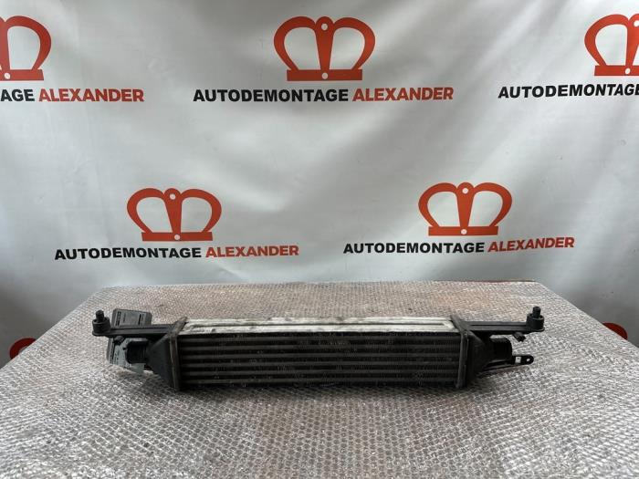 Gebruikte Intercooler BMW Mini (R50/53) 1.6 16V One Prijs € 34,99 Margeregeling aangeboden door Alexander Autodemontage
