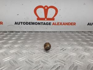 Gebruikte Sensor radiateurtemperatuur Volkswagen Golf VI (5K1) 1.6 TDI 16V Prijs op aanvraag aangeboden door Alexander Autodemontage