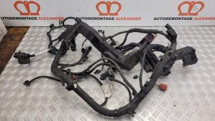 Gebruikte Kabelboom Ford Fiesta 6 (JA8) 1.0 EcoBoost 12V 100 Prijs op aanvraag aangeboden door Alexander Autodemontage