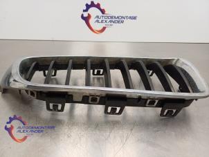 Gebruikte Grille BMW 4 serie (F32) 430d 3.0 24V Prijs op aanvraag aangeboden door Alexander Autodemontage