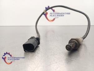 Gebruikte Lambda Sonde Audi A3 Cabriolet (8P7) 1.6 TDI 16V Prijs op aanvraag aangeboden door Alexander Autodemontage