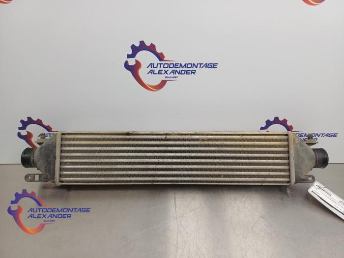 Gebruikte Intercooler Fiat Doblo Cargo (263) 1.3 MJ 16V DPF Euro 5 Prijs € 24,99 Margeregeling aangeboden door Alexander Autodemontage
