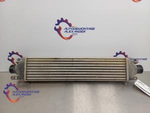 Gebruikte Intercooler Fiat Doblo Cargo (263) 1.3 MJ 16V DPF Euro 5 Prijs € 24,99 Margeregeling aangeboden door Alexander Autodemontage