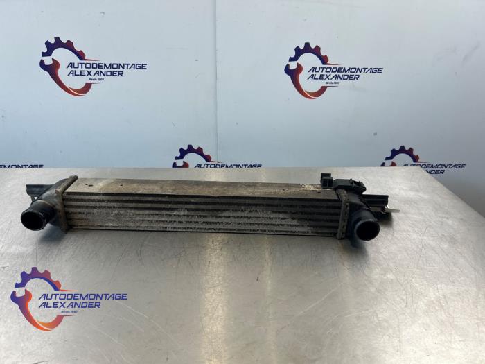 Gebruikte Intercooler Fiat Fiorino (225) 1.3 D 16V Multijet Prijs € 60,00 Margeregeling aangeboden door Alexander Autodemontage