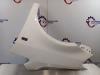 Volkswagen Caddy III (2KA,2KH,2CA,2CH) 1.6 TDI 16V Scherm links-voor