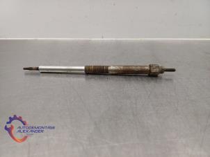 Gebruikte Gloeikaars Nissan Navara (D40) 2.5 dCi 16V 4x4 Prijs op aanvraag aangeboden door Alexander Autodemontage