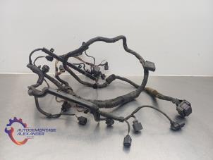 Gebruikte Bedrading Compleet Elektrisch Volkswagen Golf VI (5K1) 1.4 16V Prijs op aanvraag aangeboden door Alexander Autodemontage