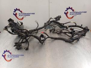 Gebruikte Kabelboom Ford Fiesta 6 (JA8) 1.0 EcoBoost 12V 100 Prijs op aanvraag aangeboden door Alexander Autodemontage