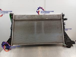 Gebruikte Radiateur Renault Master III (EV/HV/UV/VA/VB/VD/VF/VG/VJ) 2.3 dCi 135 16V RWD Prijs € 49,99 Margeregeling aangeboden door Alexander Autodemontage