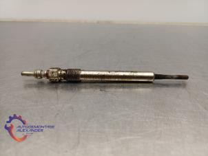 Gebruikte Gloeikaars Volkswagen Transporter T5 2.0 TDI DRF Prijs op aanvraag aangeboden door Alexander Autodemontage