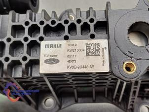 Gebruikte EGR Klep Ford Focus 4 Wagon Prijs op aanvraag aangeboden door Alexander Autodemontage