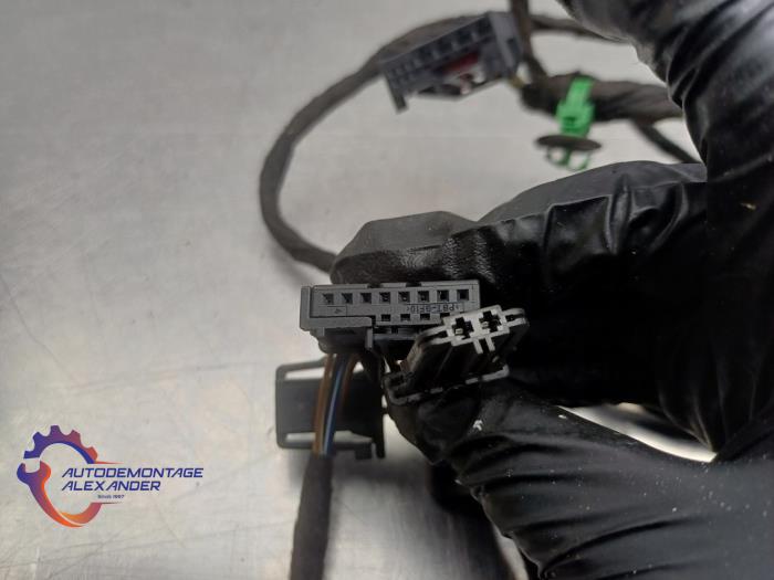 Kabelboom van een Volkswagen Caddy III (2KA,2KH,2CA,2CH) 1.6 TDI 16V 2015