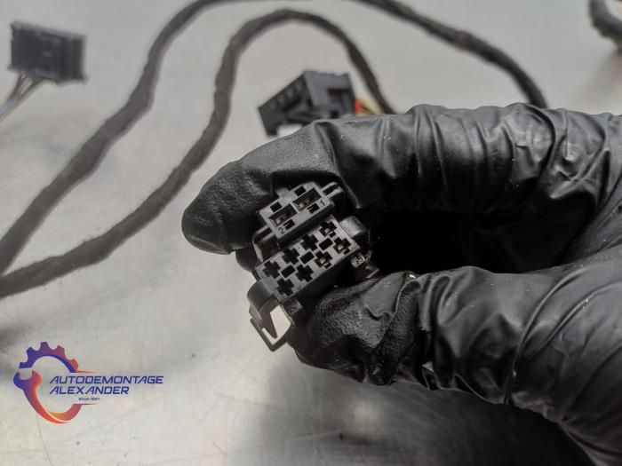 Kabelboom van een Volkswagen Caddy III (2KA,2KH,2CA,2CH) 1.6 TDI 16V 2015