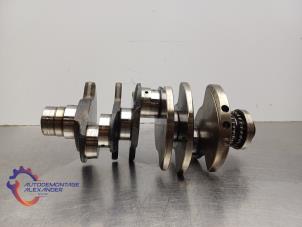 Gebruikte Krukas Audi A4 Avant (B7) 3.0 TDI V6 24V Quattro Prijs op aanvraag aangeboden door Alexander Autodemontage