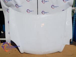 Gebruikte Motorkap Renault Kangoo Express (FC) 1.9 D 65 Prijs € 99,99 Inclusief btw aangeboden door Alexander Autodemontage