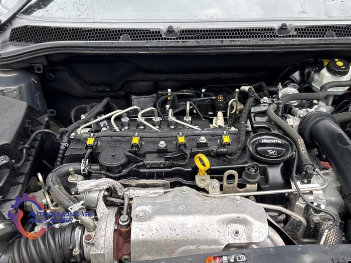 Gebruikte Roetfilter Opel Astra J Sports Tourer (PD8/PE8/PF8) 1.6 CDTI 16V Prijs € 544,50 Inclusief btw aangeboden door Alexander Autodemontage
