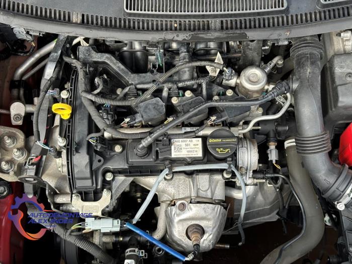 Gebruikte Versnellingsbak Ford Fiesta 6 (JA8) 1.0 SCI 12V 80 Prijs € 499,99 Margeregeling aangeboden door Alexander Autodemontage