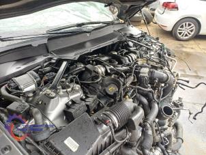 Gebruikte Motor Landrover Range Rover IV (LG) 4.4 SDV8 32V Prijs € 14.520,00 Inclusief btw aangeboden door Alexander Autodemontage