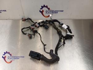 Gebruikte Bedrading Compleet Elektrisch Landrover Range Rover IV (LG) 4.4 SDV8 32V Prijs op aanvraag aangeboden door Alexander Autodemontage