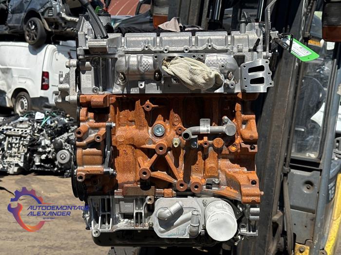 Gereviseerde Motor Ford Transit 2.0 TDCi 16V Eco Blue 130 Prijs € 3.025,00 Inclusief btw aangeboden door Alexander Autodemontage