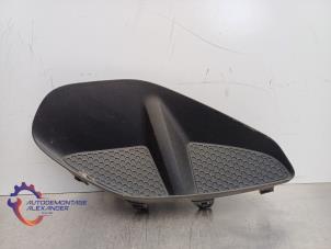 Gebruikte Afdekplaat mistlamp rechts Opel Corsa F (UB/UH/UP) 1.2 12V 75 Prijs op aanvraag aangeboden door Alexander Autodemontage