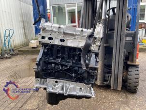 Gereviseerde Motor Ford Ranger 2.0 EcoBlue 16V 4x4 Prijs € 3.872,00 Inclusief btw aangeboden door Alexander Autodemontage