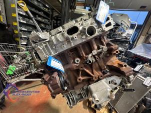 Gereviseerde Motor Ford Transit 2.0 TDCi 16V Eco Blue 130 Prijs € 3.267,00 Inclusief btw aangeboden door Alexander Autodemontage