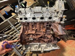 Gereviseerde Motor Ford Transit 2.0 TDCi 16V Eco Blue 165 Prijs € 3.267,00 Inclusief btw aangeboden door Alexander Autodemontage