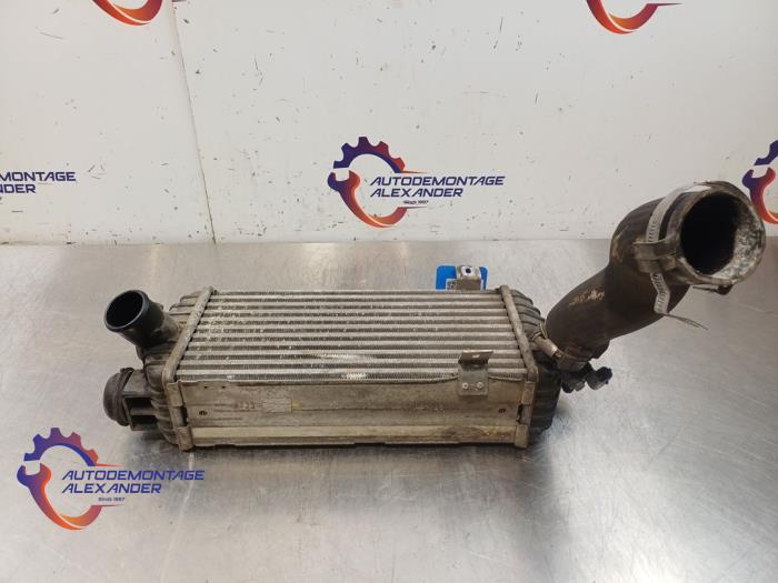 Gebruikte Intercooler Hyundai Tucson (TL) 1.7 CRDi 16V 2WD Prijs € 79,99 Inclusief btw aangeboden door Alexander Autodemontage