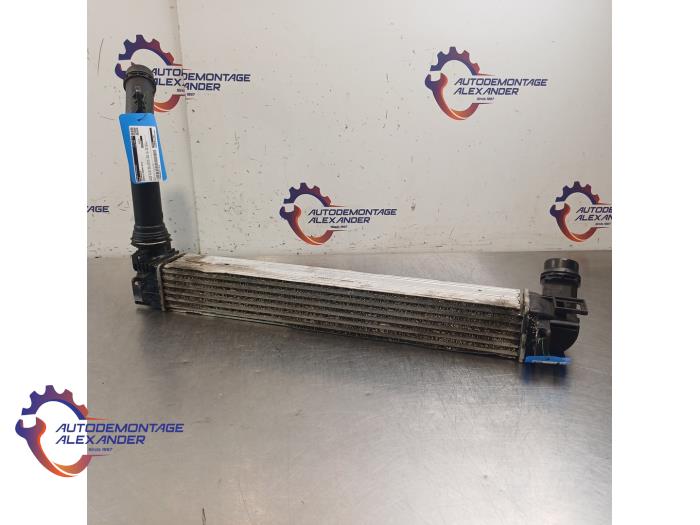 Gebruikte Intercooler Renault Megane III Grandtour (KZ) 1.5 dCi 110 Prijs € 50,00 Margeregeling aangeboden door Alexander Autodemontage