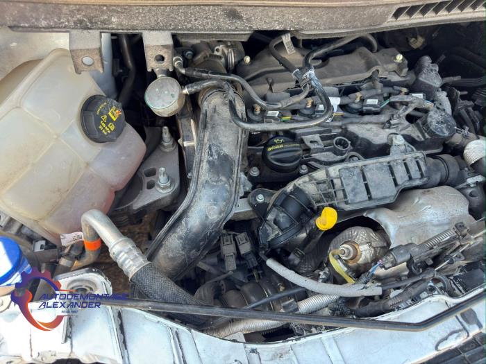 Gebruikte Versnellingsbak Ford Transit Connect (PJ2) 1.5 TDCi Prijs € 700,00 Margeregeling aangeboden door Alexander Autodemontage