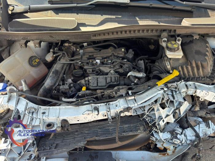 Gebruikte Motor Ford Transit Connect (PJ2) 1.5 TDCi Prijs € 3.250,00 Margeregeling aangeboden door Alexander Autodemontage