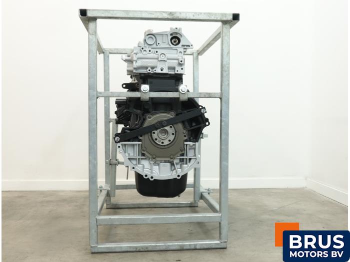Gereviseerde Motor Ford Ranger 2.0 EcoBlue 16V 4x4 Prijs € 4.537,50 Inclusief btw aangeboden door Brus Motors BV