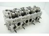 Cilinderkop van een Volkswagen Caddy Combi III (2KB,2KJ), 2004 / 2015 1.9 TDI, MPV, Diesel, 1.896cc, 55kW (75pk), FWD, BSU, 2005-09 / 2010-08, 2KB 2010
