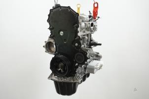 Gereviseerde Motor Ford Transit 2.0 TDCi 16V Eco Blue 170 RWD Prijs € 3.932,50 Inclusief btw aangeboden door Brus Motors BV