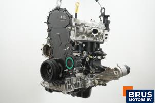 Nieuwe Motor Ford Ranger 2.0 EcoBlue 16V 4x4 Prijs € 4.779,50 Inclusief btw aangeboden door Brus Motors BV