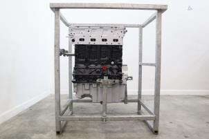 Gereviseerde Motor Volkswagen Transporter T6 2.0 TDI DRF Prijs € 3.569,50 Inclusief btw aangeboden door Brus Motors BV