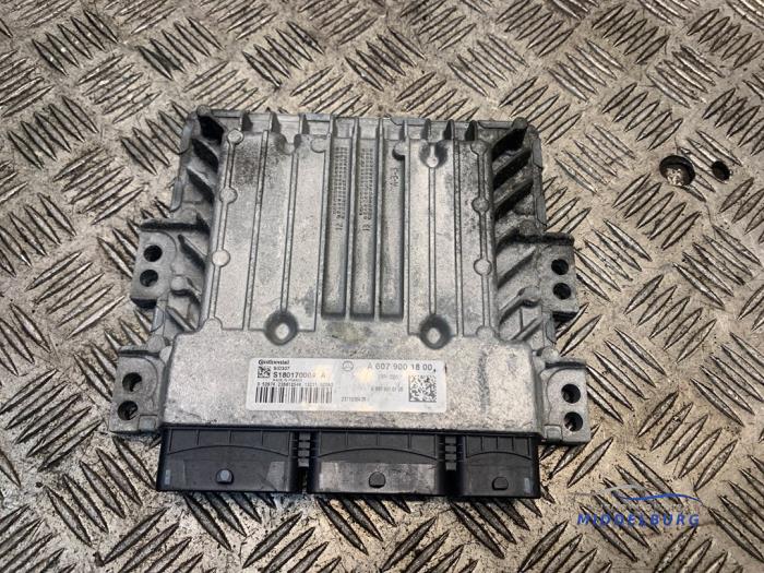 Gebruikte Computer Motormanagement Mercedes A (W176) 1.5 A-180 CDI, A-180d 16V Prijs € 167,00 Margeregeling aangeboden door Autodemontagebedrijf Middelburg B.V