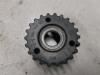 Seat Leon (5FB) 1.6 TDI Ecomotive 16V Tandwiel dieselpomp