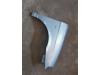 Lancia Ypsilon (843) 1.4 16V Scherm rechts-voor