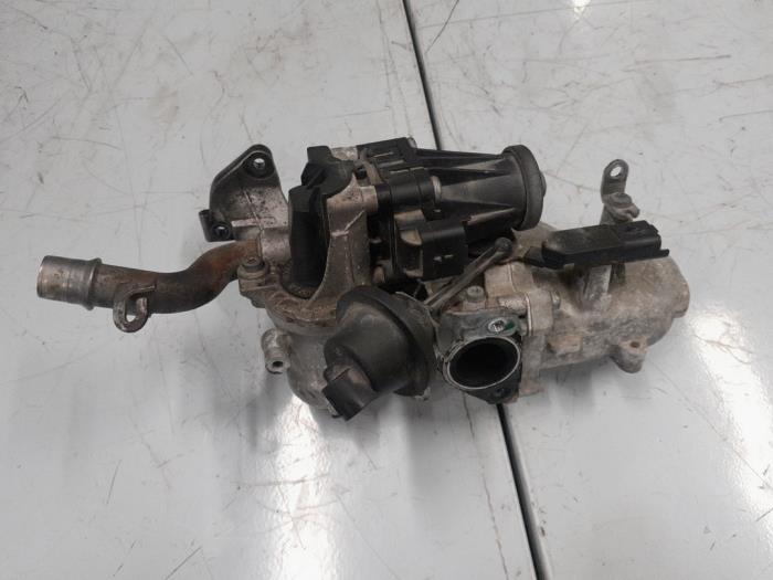 Citroen Berlingo EGR Klep