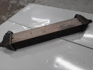 Intercooler van een Fiat Doblo Cargo (223) 1.3 D 16V Multijet 2006