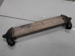 Intercooler van een Fiat Doblo Cargo (223) 1.3 D 16V Multijet 2006