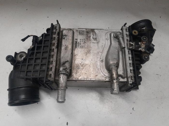 MAN TGE Intercooler